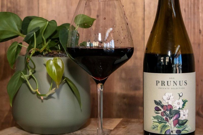 Gota Prunus Private Selection : un vin rouge portugais à découvrir